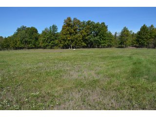 Property photo 46 - 80 +/- Acres Offered in 6 Tracts - Spectacular Farm & Home